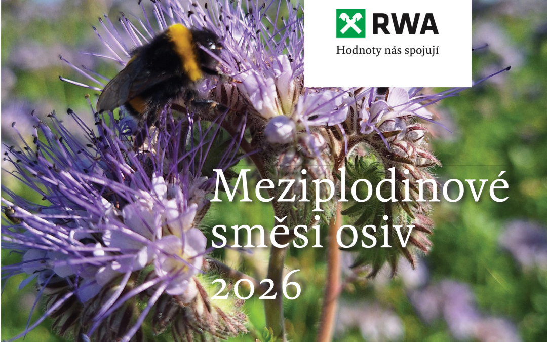 Meziplodinové směsi 2026