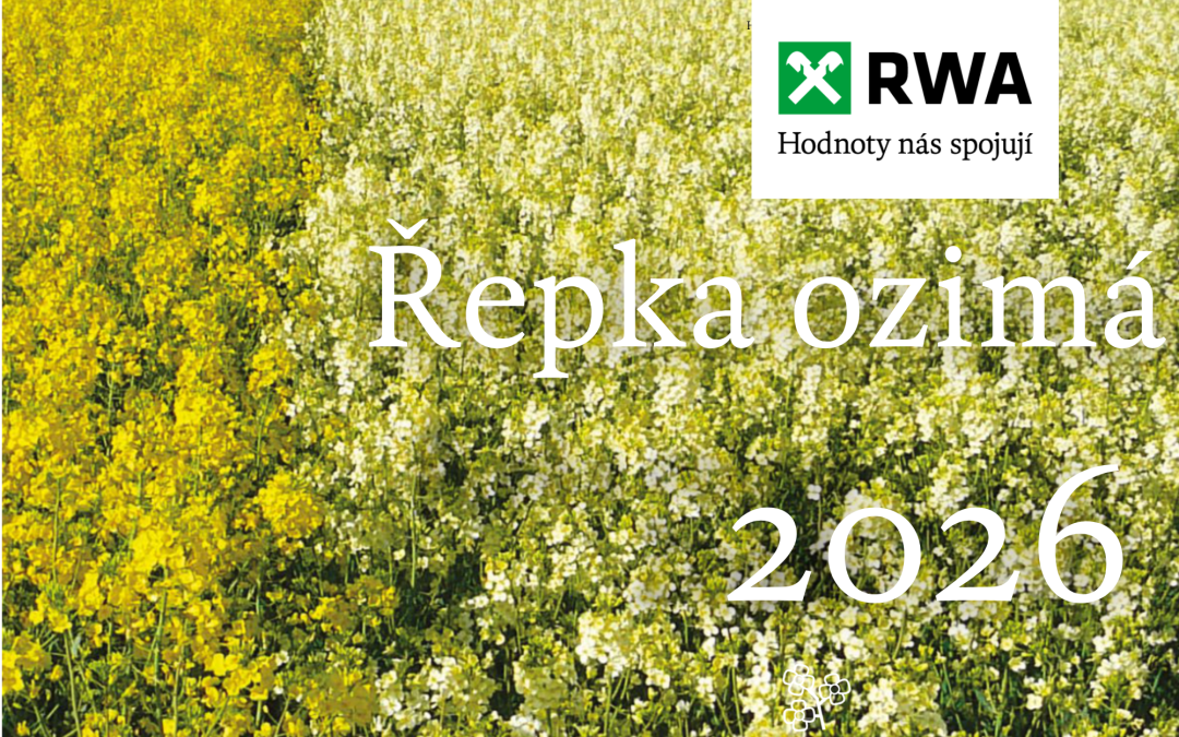 Katalog řepka ozimá 2026